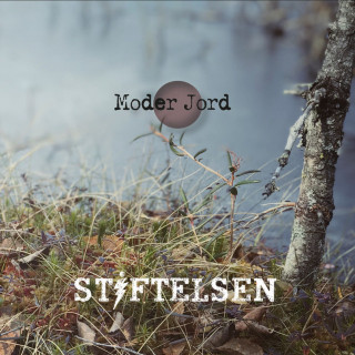 Stiftelsen - Moder Jord album cover