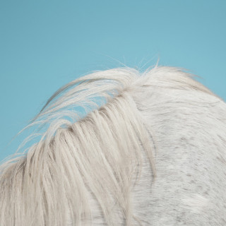 Widowspeak - All Yours album cover