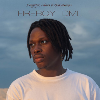 Fireboy DML - Laughter, Tears & Goosebumps album cover