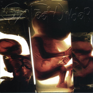 Six Feet Under - True Carnage album cover