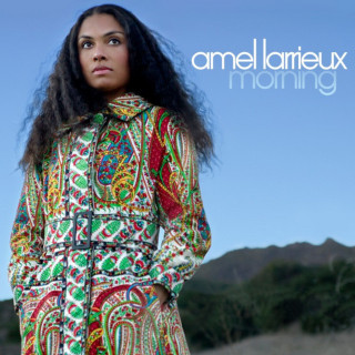 Amel Larrieux - Morning album cover