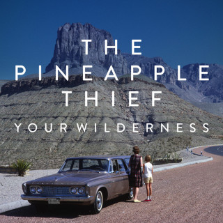 The Pineapple Thief - Your Wilderness album cover