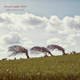 The Pineapple Thief - What We Have Sown album cover
