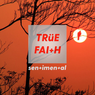 True Faith - Sentimental album cover