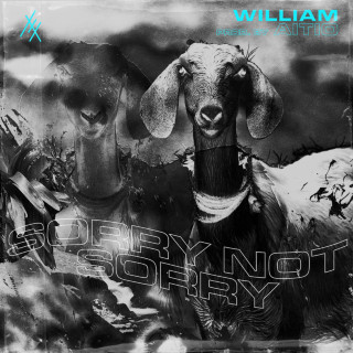 william - sorrynotsorry EP cover
