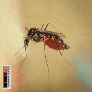 The Weeks - Dear Bo Jackson album cover