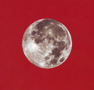 Ani DiFranco - Red Letter Year album cover