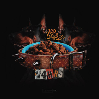24hrs - Big Dog 2.0 EP cover