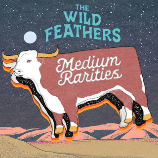 The Wild Feathers - Medium Rarities compilation cover
