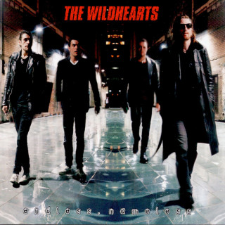 The Wildhearts - Endless Nameless album cover