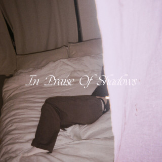 Puma Blue - In Praise Of Shadows album cover