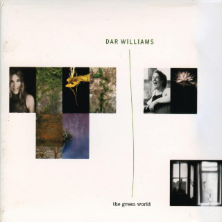 Dar Williams - The Green World album cover