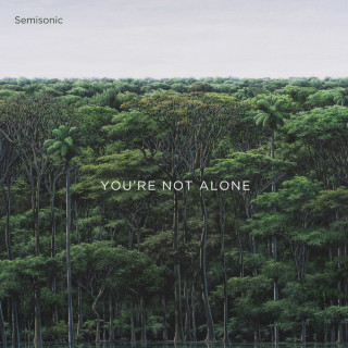 Semisonic - You're Not Alone EP cover
