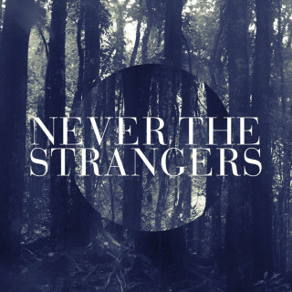 Never The Strangers - Never The Strangers album cover