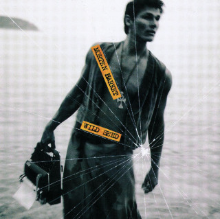 Morten Harket - Wild Seed album cover
