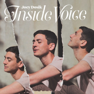 Joey Dosik - Inside Voice album cover