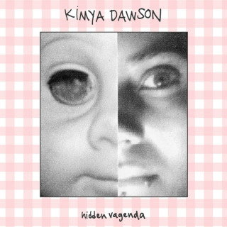 Kimya Dawson - Hidden Vagenda album cover
