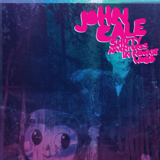 John Cale - Shifty Adventures In Nookie Wood album cover