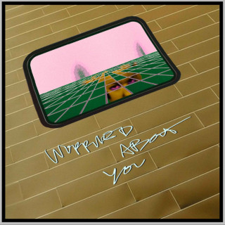 Post Animal - Worried About You single cover