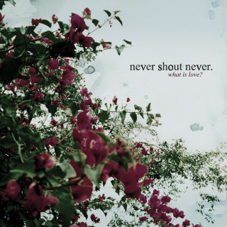 Never Shout Never - What Is Love? album cover