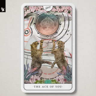 Autograf - The Ace Of You album cover