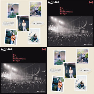 Blossoms - In Isolation album cover