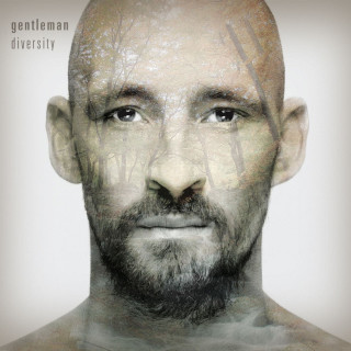 Gentleman - Diversity album cover