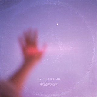 Haux - Fever In The Night EP cover