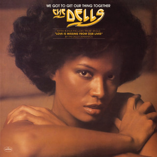The Dells - We Got To Get Our Thing Together album cover