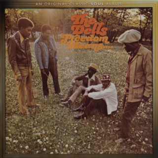 The Dells - Freedom Means... album cover