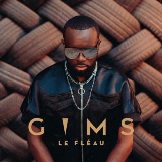 GIMS - Le Fléau album cover