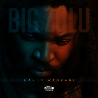 Big Zulu - Ushun Wenkabi album cover