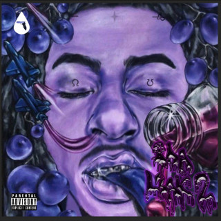Robb Bank$ - Tha Leak 2 mixtape cover