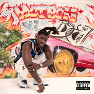 Hotboii - Double O Baby album cover