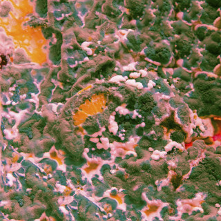 Marika Hackman - Sugar Blind EP cover