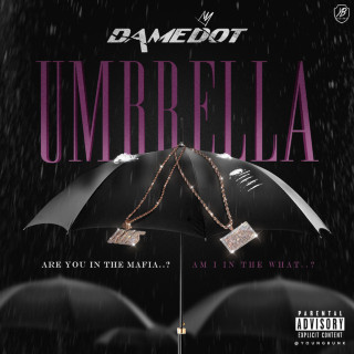 Damedot - The Umbrella album cover