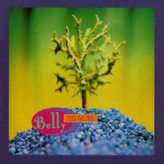 Belly - Feed The Tree single cover