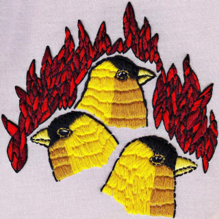 Roar - Impossible Animals album cover