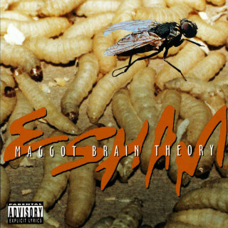Esham - Maggot Brain Theory EP cover