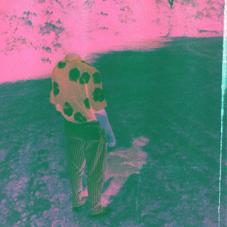 Choker - Honeybloom album cover