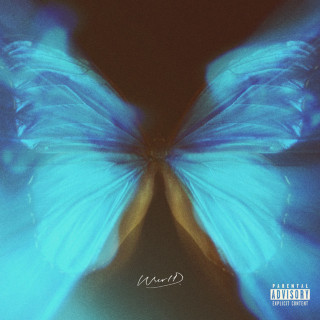 WurlD - AFROSOUL album cover
