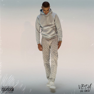 YG Pablo - VEDA EP cover