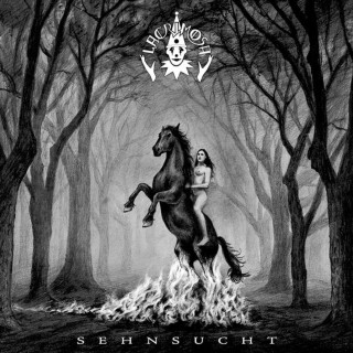 Lacrimosa - Sehnsucht album cover