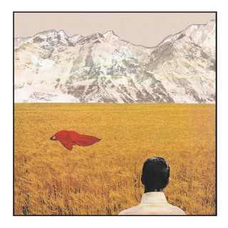 Lady Lamb - After album cover