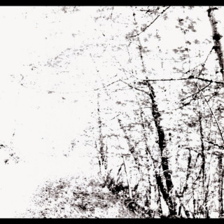 Agalloch - The White EP cover