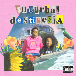 Jelani Aryeh - Suburban Destinesia EP cover
