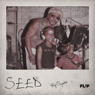 Gyakie - Seed EP cover
