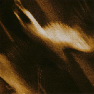 Agalloch - Ashes Against The Grain album cover