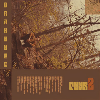brakence - punk2 album cover