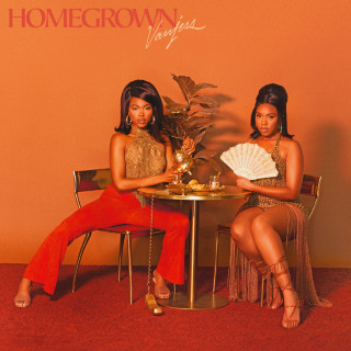 Kaytranada & VanJess - Homegrown album cover